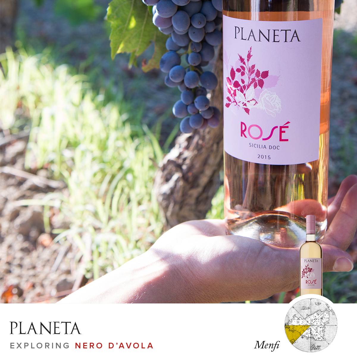 From Menfi, the Nero d’Avola for Rosè